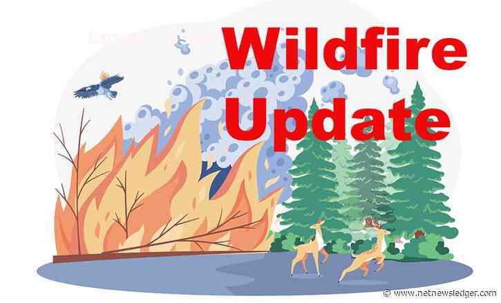 112 Active Fires Across Northwestern Ontario as Major Complexes Remain Uncontrolled