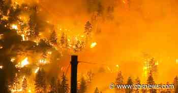 Wildfires ravage the West: Details and the forecast