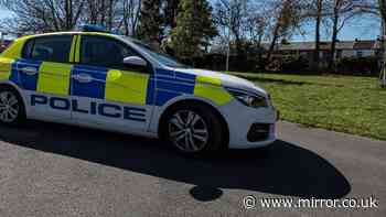 Student police officer charged with rape and kidnap after woman 'heard in distress in vehicle'