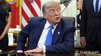 Trump says he hasn't spoken to Blanche or Pirro about prosecuting Fauci