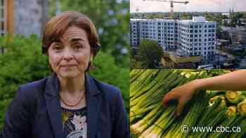 What Quebec parties’ pre-campaign ads suggest ahead of the election