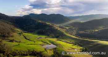 Strike A Light! premium high rainfall country for 600 breeders | Video