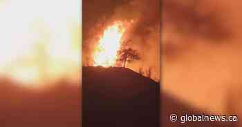 Animal sanctuary among evacuees of Summerland wildfire