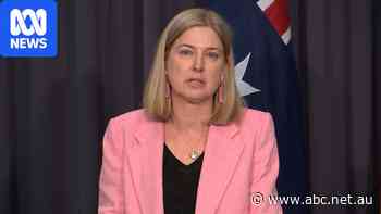 Live: Government targets vulnerable species for bird flu vaccines