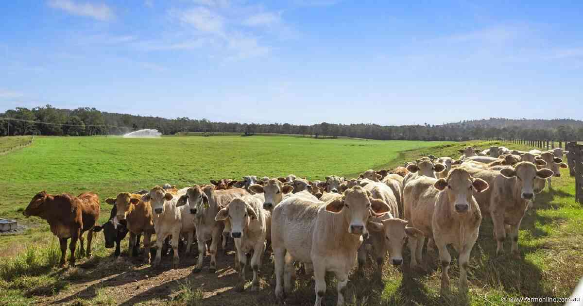 Elite irrigation, hay production country for 800 cattle asking $10 million