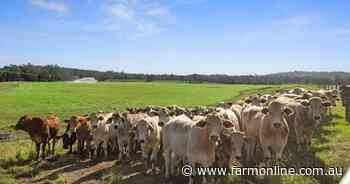 Elite irrigation, hay production country for 800 cattle asking $10 million