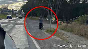 Bleak photograph of mother pushing a pram sparks claims Sydney suburb is a 'third-world country'