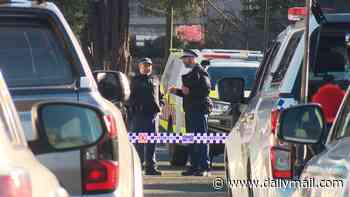 Paedophile suspect takes his own life during dramatic NSW Police raid of his home in the Blue Mountains