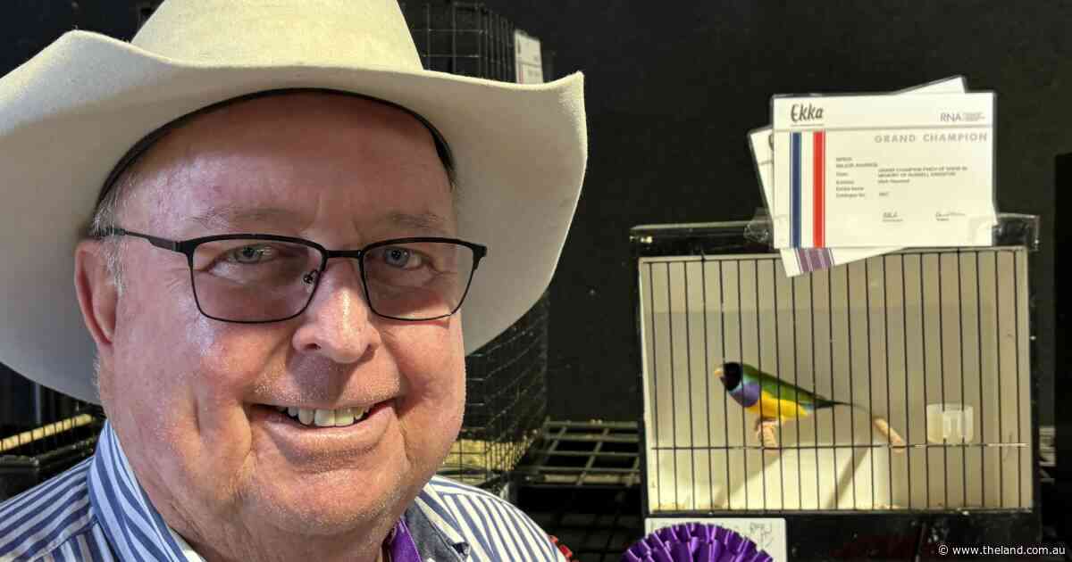 How a Parkinson's diagnosis led a cattle buyer to a prize-winning hobby