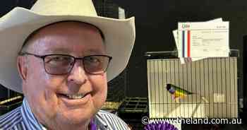 How a Parkinson's diagnosis led a cattle buyer to a prize-winning hobby
