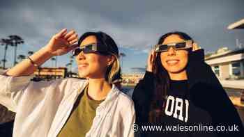 NHS eye doctor explains 3 ways to watch August eclipse without special glasses