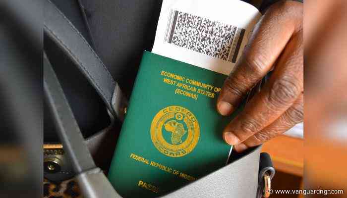 Visa application from Nigerians to S’Africa double despite xenophobic attacks—Envoy