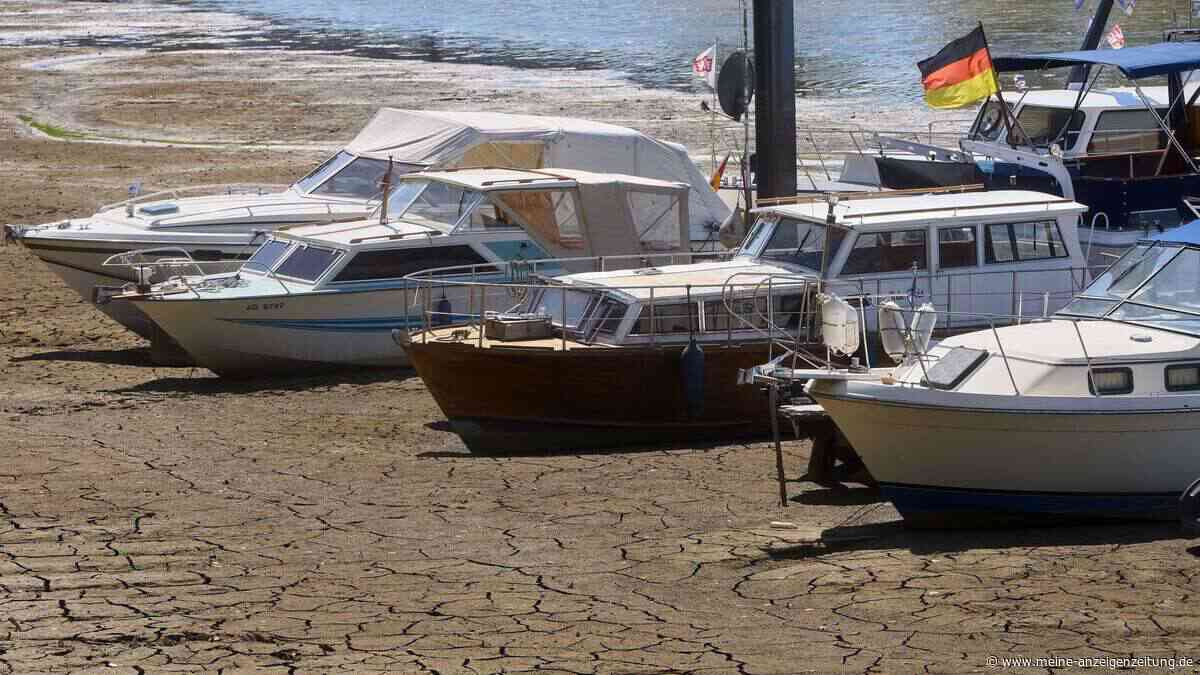 Pegel, Kaub, Fahrverbot: Was zum Niedrigwasser wichtig ist