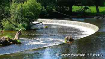 I didn't expect this Welsh walk to end with a swim at a World Heritage Site