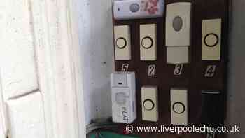 Liverpool Council doesn't know exact number of HMOs across the city