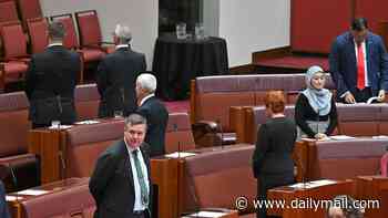 One Nation politicians turn their backs during Acknowledgement of Country as Parliament returns