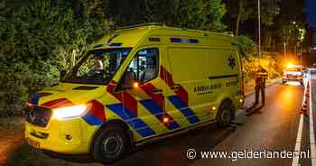 Auto belandt in bosjes in Duiven