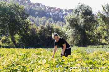 Le Jardin l’orée d’Argens, improbable oasis de verdure au milieu des terres brûlées