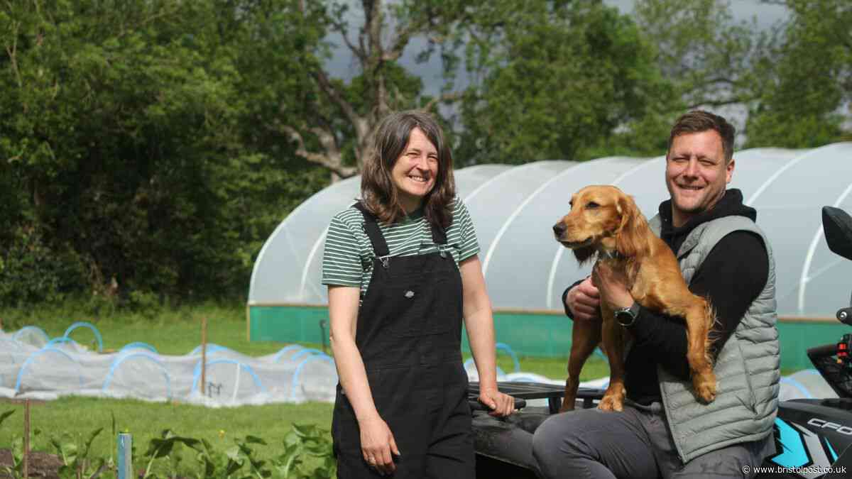 Bristol-born steakhouse brand to open farm shop and cafe in village
