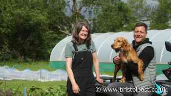 Bristol-born steakhouse brand to open farm shop and cafe in village