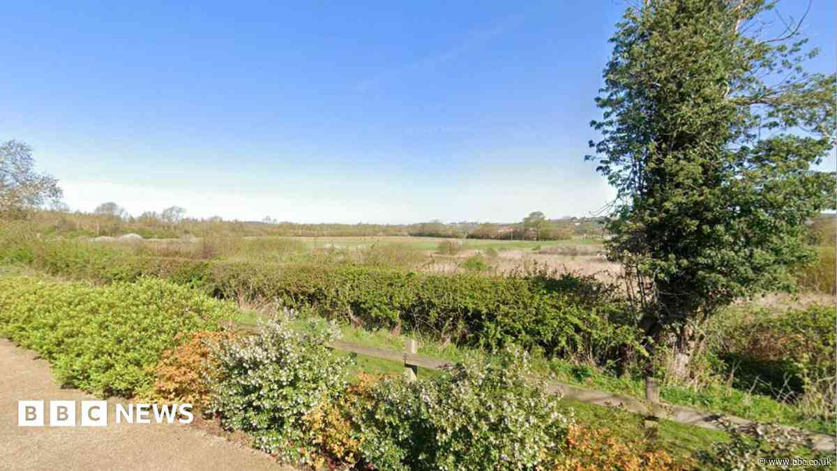 Outline approval for 80 new homes near village