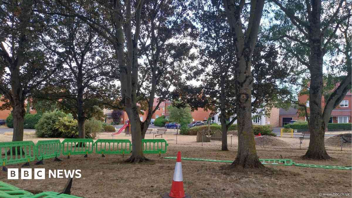 Tree damage pauses walking and cycling scheme