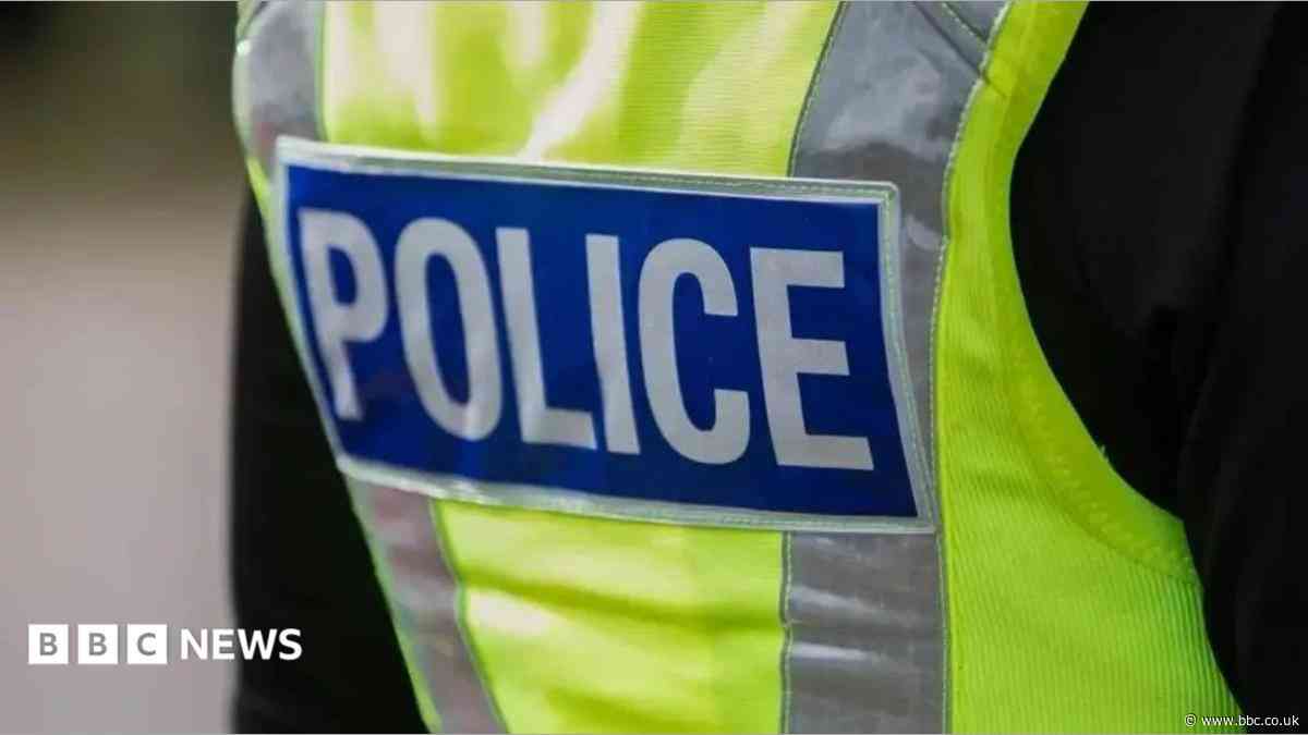 Man dies after Mini crashes into bridge