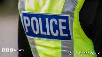 Man dies after Mini crashes into bridge