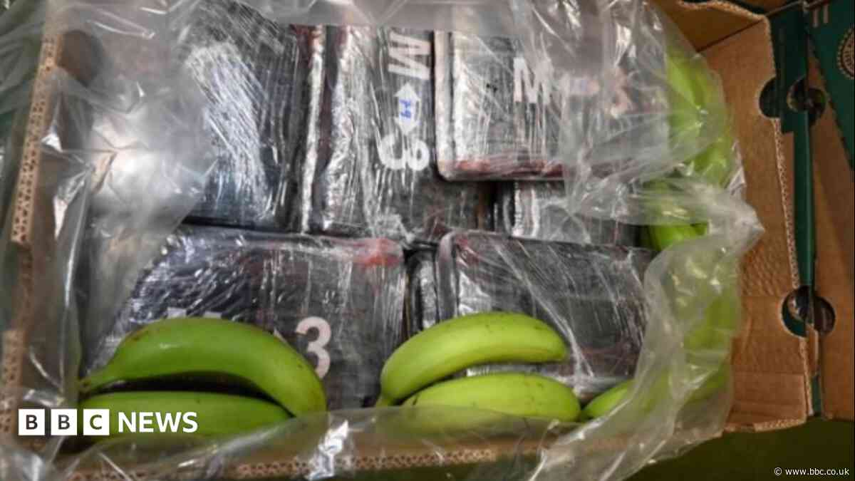 Cocaine worth £232m found in banana shipment