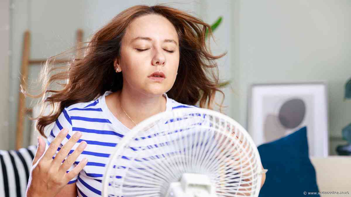 Not air conditioner or fan — more affordable appliance people say cools homes better than both