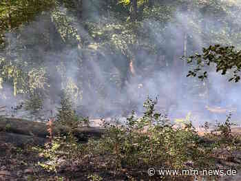 Jockgrim – Mehrere Feuerwehren bekämpfen Waldbrand bei Hatzenbühl
