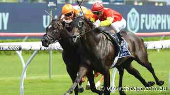 Race-by-race preview and tips for Wednesday’s Canterbury meeting