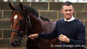 Price hopes Canterbury return can start Monte Veebee on road to riches