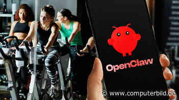 OpenClaw manipuliert Fitnessstudio-Buchung selbst