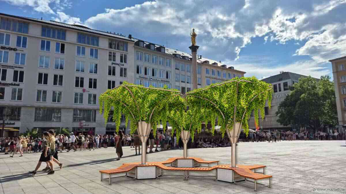 „Temperaturen bis 65 Grad“: Wie Politiker für mehr Schatten in München sorgen wollen