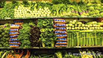 Ernährungssicherheit in Gefahr: Großbritannien droht schlimmste Krise seit Jahrzehnten