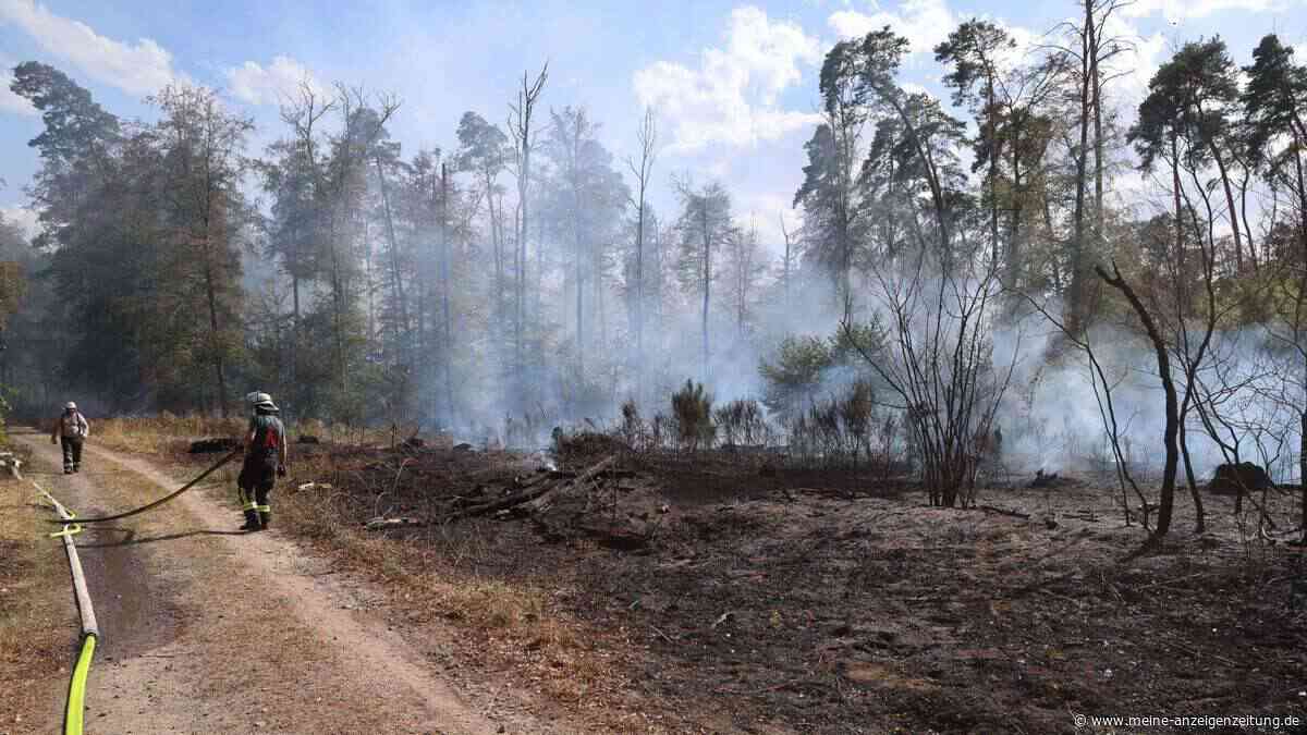Kein Duschen, kein Baden: Landkreis greift wegen Waldbränden zu drastischer Maßnahme