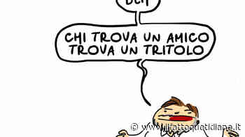 Chi trova un amico…