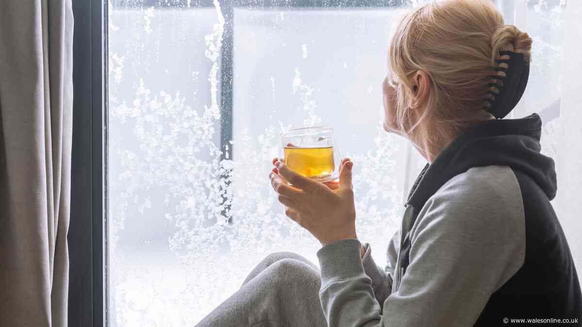 Common daily drink 'can slash cholesterol' for women after menopause