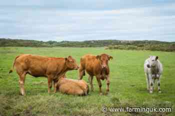 NFU Cymru urges SFS changes after low Anglesey uptake