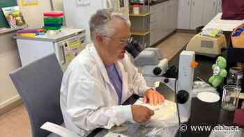 Tick exposures more than double 3-year average in New Brunswick
