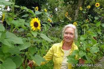 Perennial Pioneer Jacqueline van de Kloet