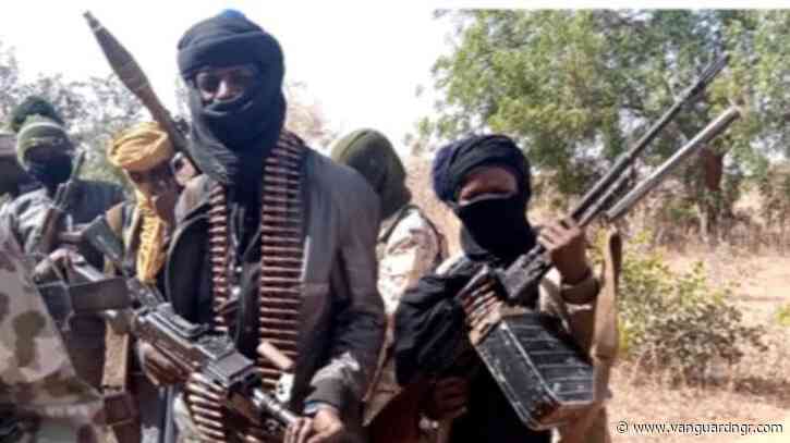 Police kill 17 bandits, lose 10 officers in Kebbi gun battle