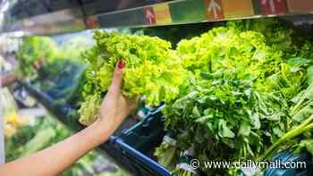 Top food scientist: 'I wouldn't touch bagged salad in a million years' - stark warning as toxic lettuce fuels spread of 'explosive diarrhoea' parasite