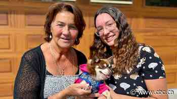 Winnipeg animal rescue groups say more owners surrendering pets, unable to afford costs
