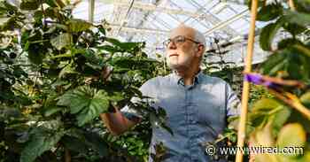 Seedless Blackberries and Cherries That Grow on Bushes Vie to Be the Future of Food
