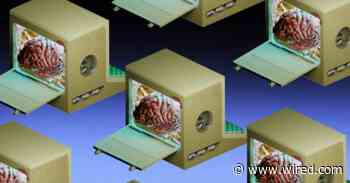 AI Is Dead. Organoids Are Alive