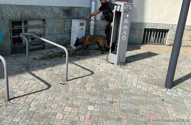 POL-SI: Polizeidiensthund Freya erfolgreich bei Suche nach Drogenverstecken - #polsiwi