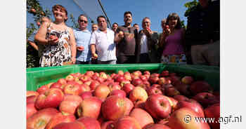 Appeloogst in Spaanse Girona van start met raming van meer dan 100.000 ton