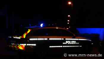 Wörth – Wärmebilddrohne entdeckt zwei Personen in Waldstück – 55-Jähriger festgenommen